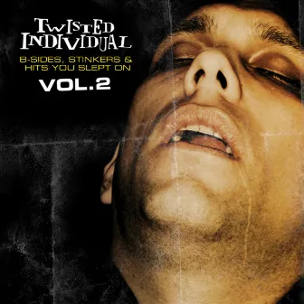 B Sides, Stinkers & Hits You Slept On Vol 2 by Twisted Individual