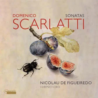 Scarlatti: Sonatas by Nicolau de Figueiredo