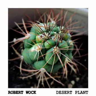 Desert Plant by Robert Wock