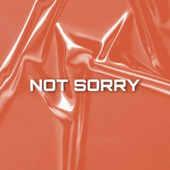 Not Sorry by Anvy