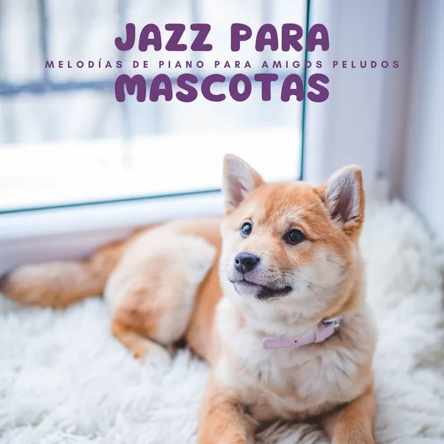 Jazz Para Mascotas: Melodías De Piano Para Amigos Peludos