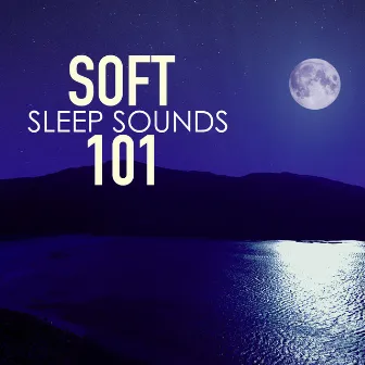 Soft Sleep Sounds 101 - Midnight Ambient Music, Soothing Relaxing Songs with Sounds of Nature by Unknown Artist