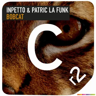 Bobcat by Inpetto