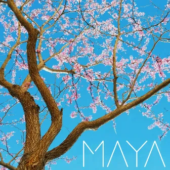 Maya by The Fabus Four