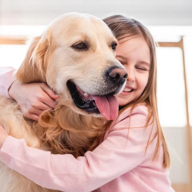 Tranquil Tunes for Dogs