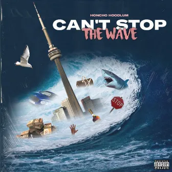 Can't Stop the Wave by Honcho Hoodlum