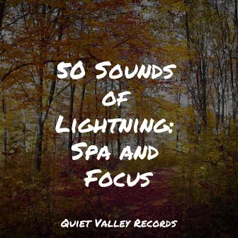 50 Sounds of Lightning: Spa and Focus by Sonido Del Bosque y Naturaleza