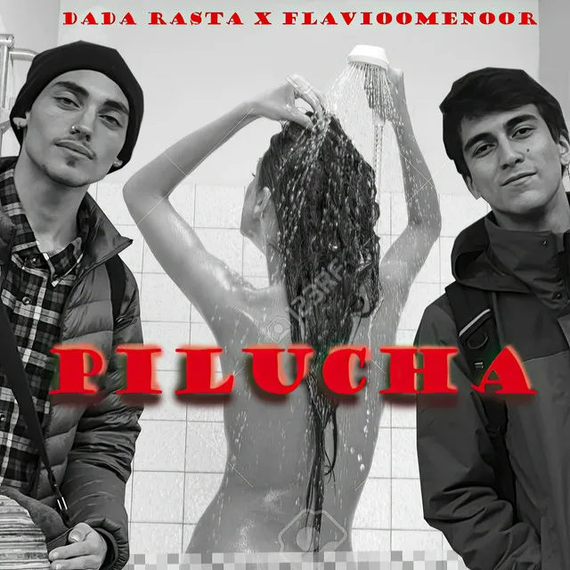 Pilucha