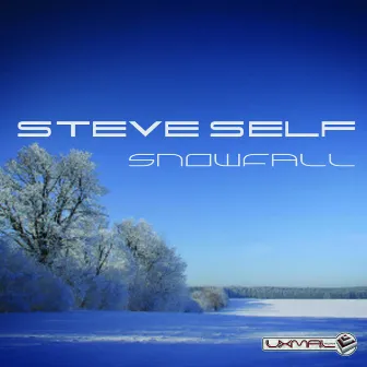 Snowfall by Steve Self