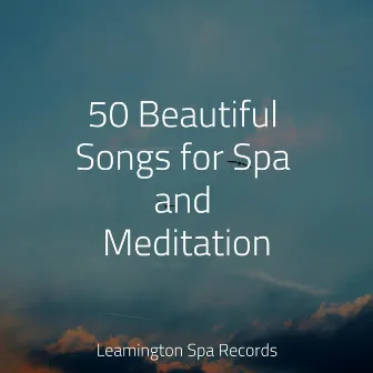 50 Beautiful Songs for Spa and Meditation by Ambient Nature White Noise