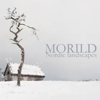 Nordic Landscapes by Morild