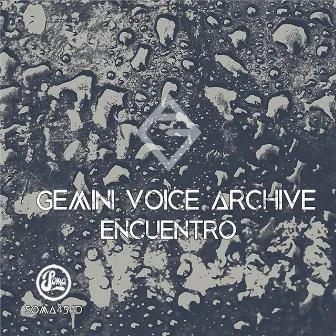 Encuentro by Gemini Voice Archive