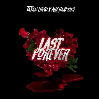 Last Forever by Tavan Lhoid