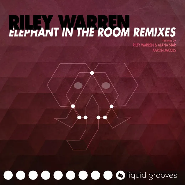 Elephant in the Room - Aaron Jacobs Remix