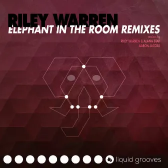 Elephant in the Room Remixes by Riley Warren