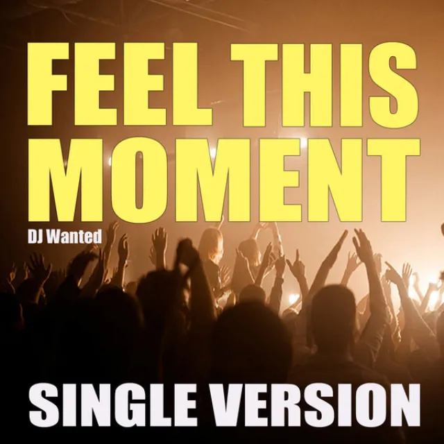 Feel This Moment - Single Version