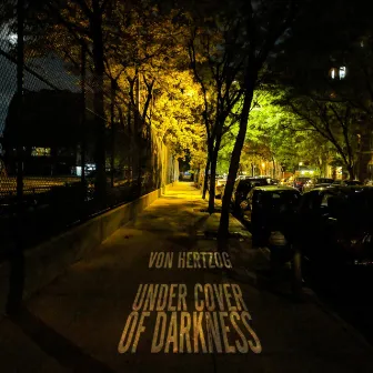 Under Cover of Darkness by Von Hertzog