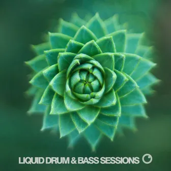 Liquid Drum & Bass Sessions 2019 Vol 3 by Dreazz