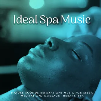 Ideal Spa Music by Nature Sounds Relaxation: Music for Sleep, Meditation/ Massage Therapy, Spa