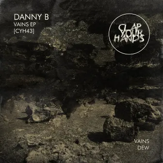 Vains EP by Danny B