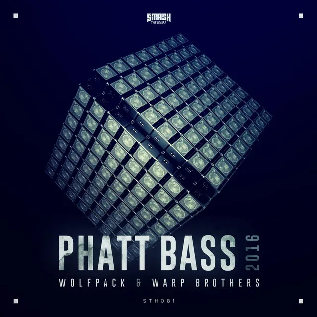 Phatt Bass 2016 - Short Edit