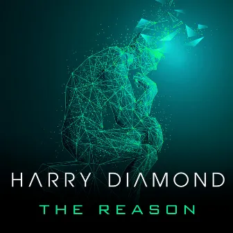 The Reason by Harry Diamond