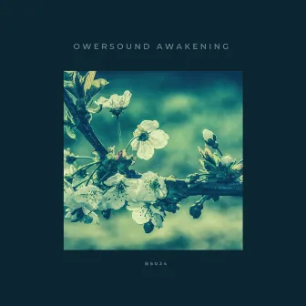 Awakening by Owersound