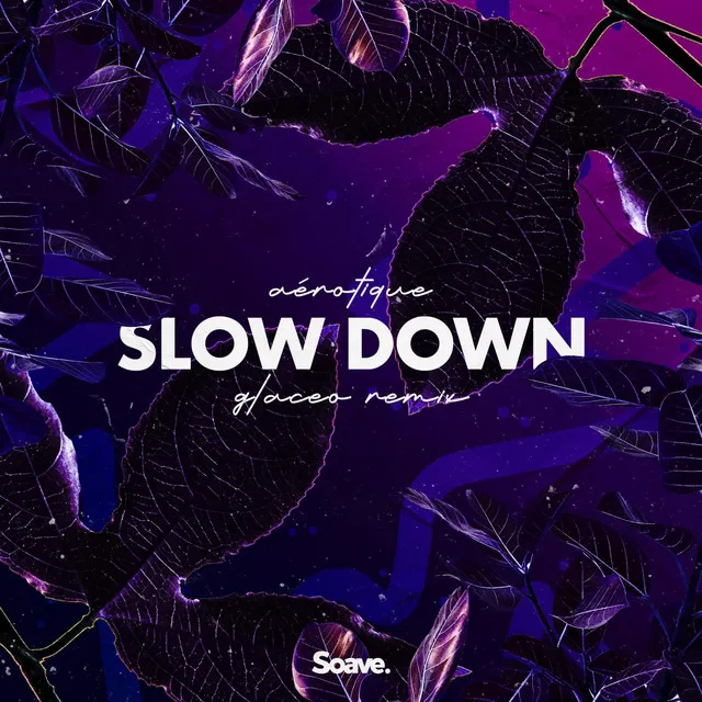 Slow Down (Glaceo Remix)