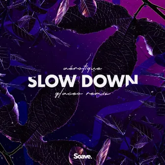 Slow Down (Glaceo Remix) by Aérotique