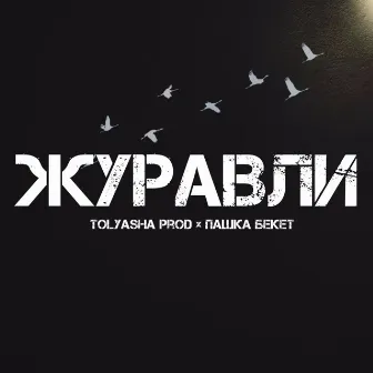 Журавли by Tolyasha Prod