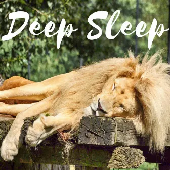 Deep Sleep Aid Brainwave Entrainment Meditation Treat Insomnia with Nature Sounds Music - Isochronic Tones Binaural Beats by Unknown Artist