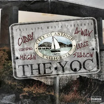 The Yoc by Cuddy