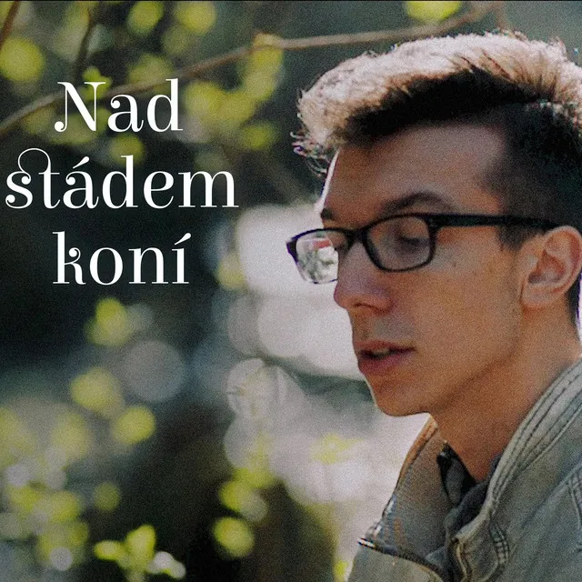 Nad stádem koní