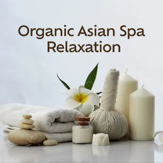 Organic Asian Spa Relaxation by Wellness Sounds Relaxation Paradise