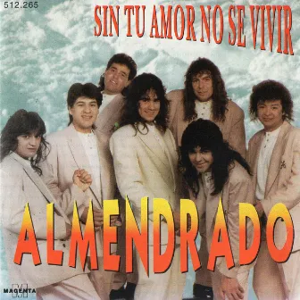 Sin Tu Amor No Se Vivir by Almendrado