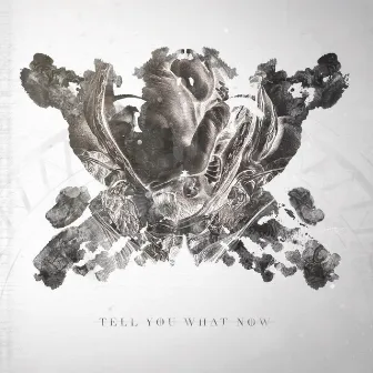 Tell You What Now by Tell You What Now