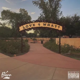 Love 4 What? by Burr