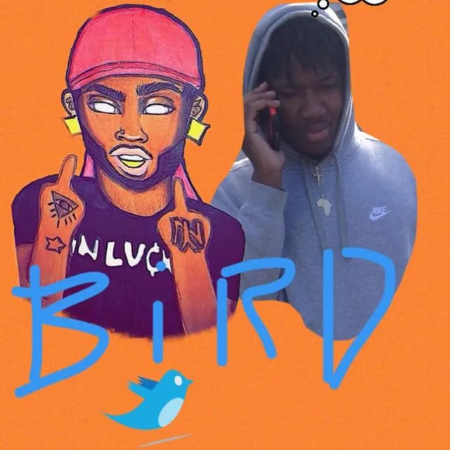 Bird Like