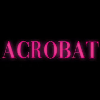 Acrobat by Paradise League