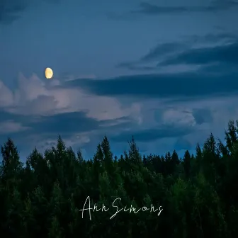 Forest Serenity by Ann Simons