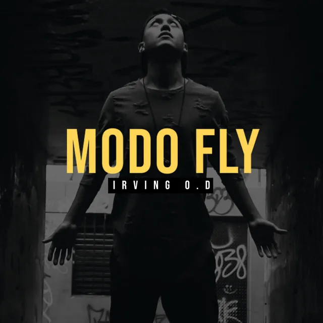 Modo Fly