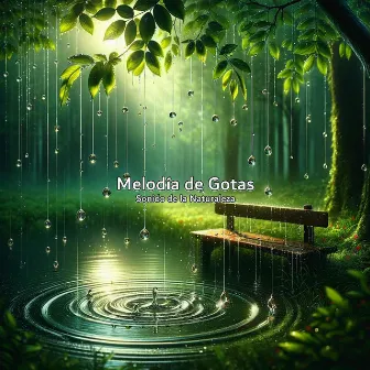 Melodía de Gotas by Sonido de la Naturaleza