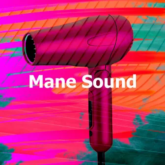 Mane Sound by Deep Sleep Hair Dryers