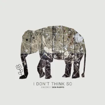 I Don't Think So by Ben Phipps