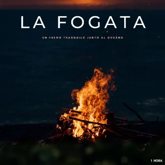 La Fogata: Un Fuego Tranquilo Junto Al Oceáno - 1 Hora by Latidos Binaurales Colectivo