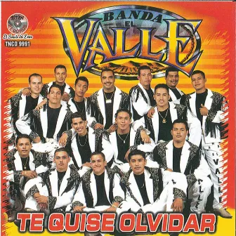 Te Quise Olvidar by Banda El Valle