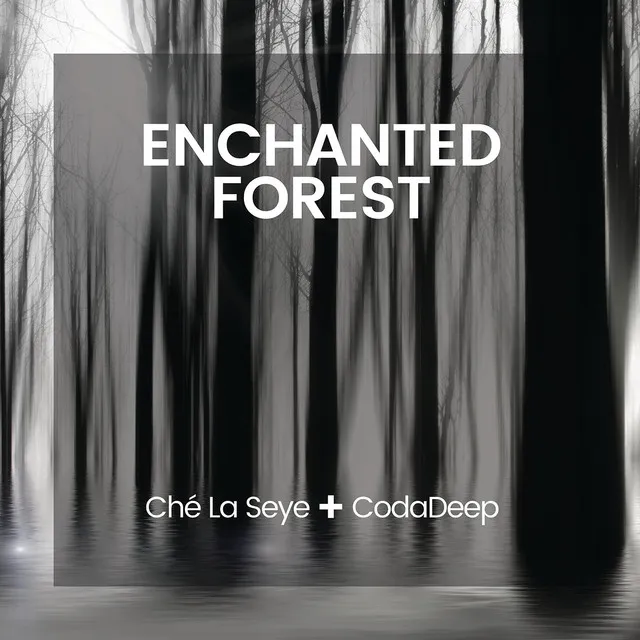 Enchanted Forest