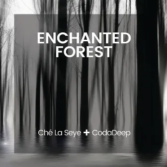 Enchanted Forest by Coda Deep