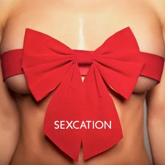 Sexcation: Sexiest Chillout Songs for a Weekend in Bed, Erotic Holidays and Passionate Sex by Total Chill Out Empire