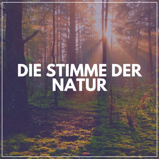 Weg der Natur